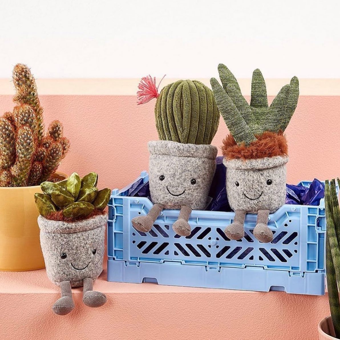 Miniatuur 2