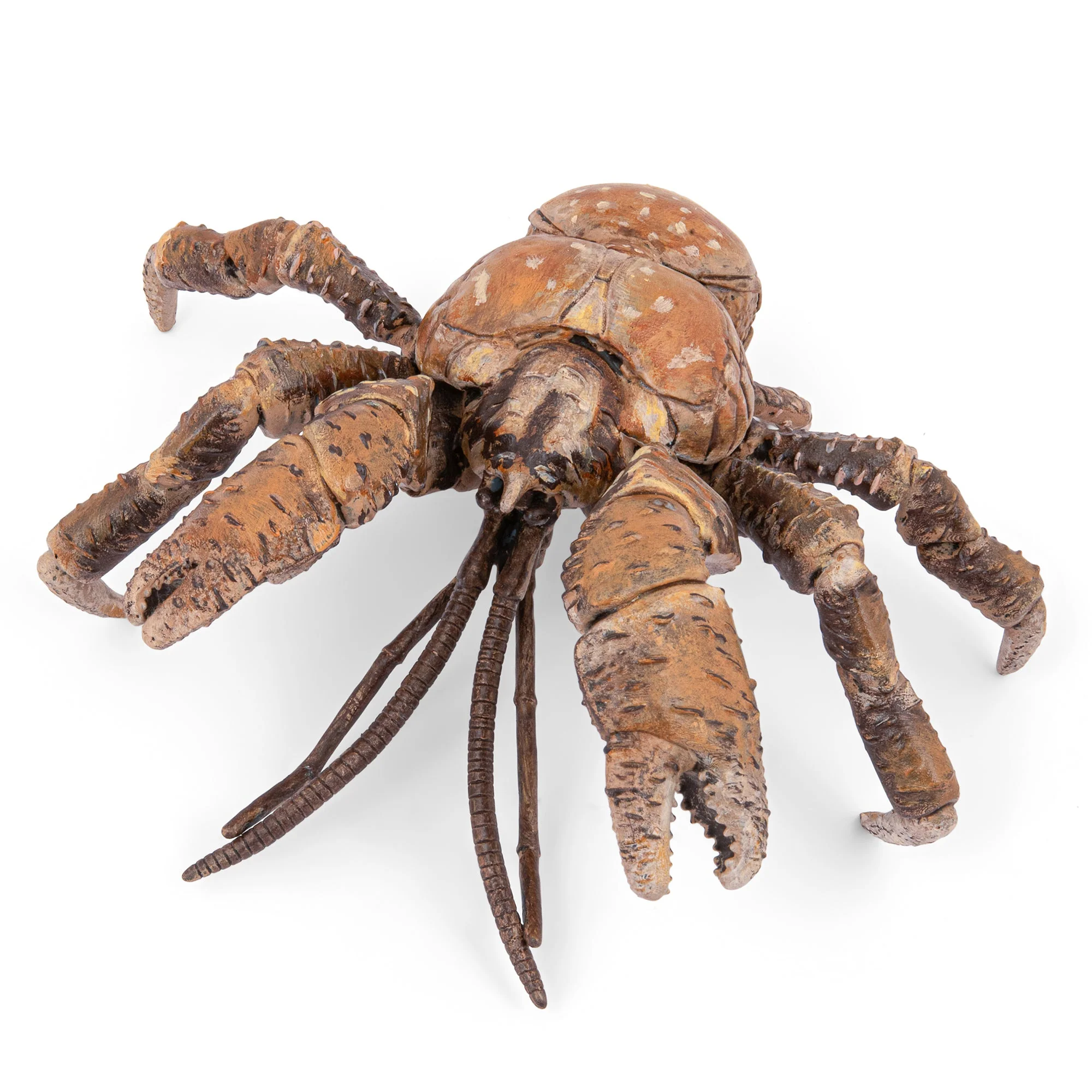 Miniatuur 1