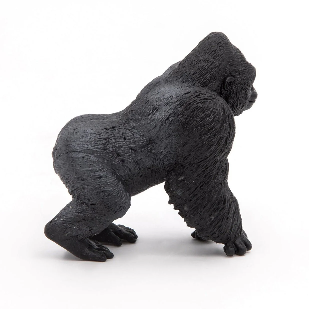 Miniatuur 2