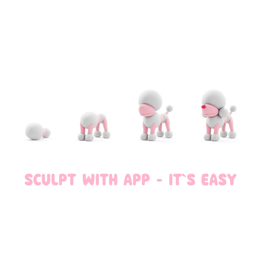 Productafbeelding 4