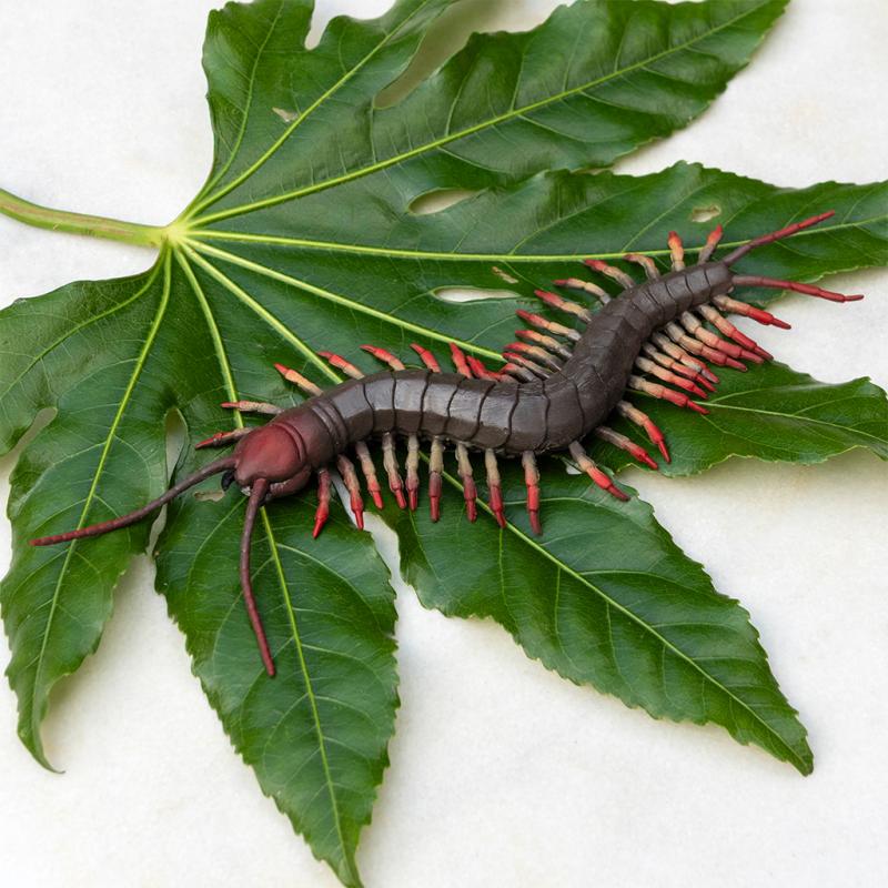 Miniatuur 2