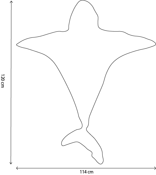 Productafbeelding 6
